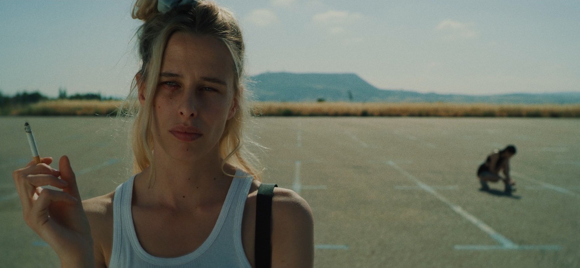 Dragonflies_Still 01