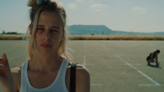 Dragonflies_Still 01