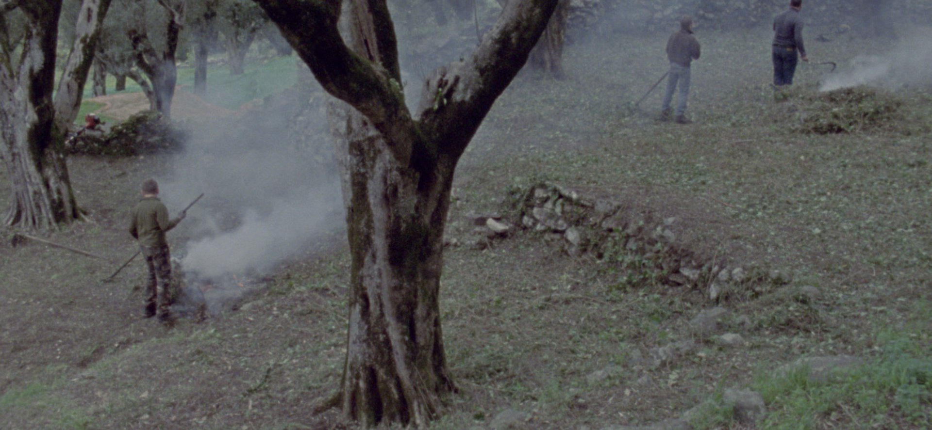 Film Still "Atlante"