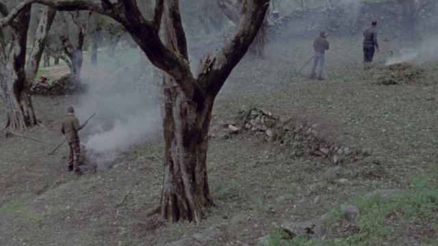 Film Still "Atlante"