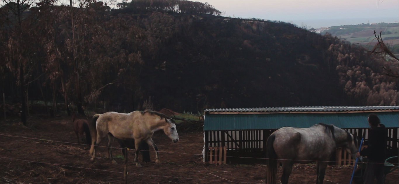 Film Still "After the Fire"