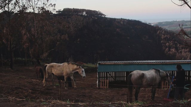 Film Still "After the Fire"