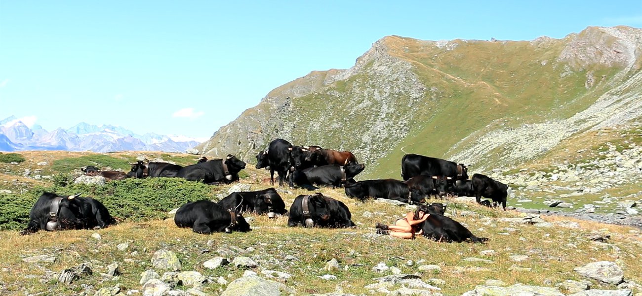 Film Still "Cows and Queens"