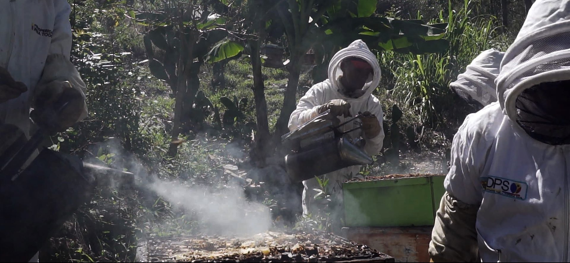 Film Still "Ramón: Notes from a Beekeeper"