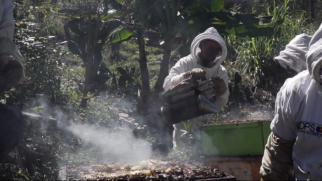 Film Still "Ramón: Notes from a Beekeeper"