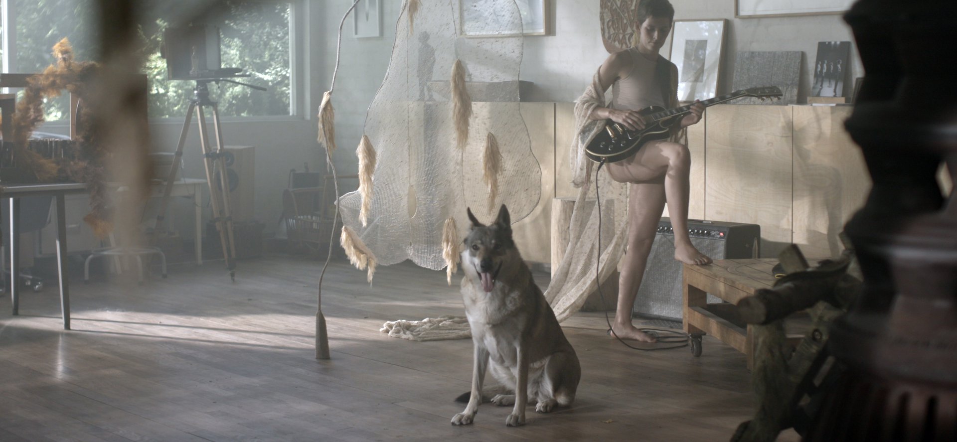 Film Still "The animal that therefore I am"
