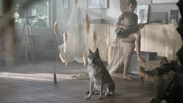 Film Still "The animal that therefore I am"