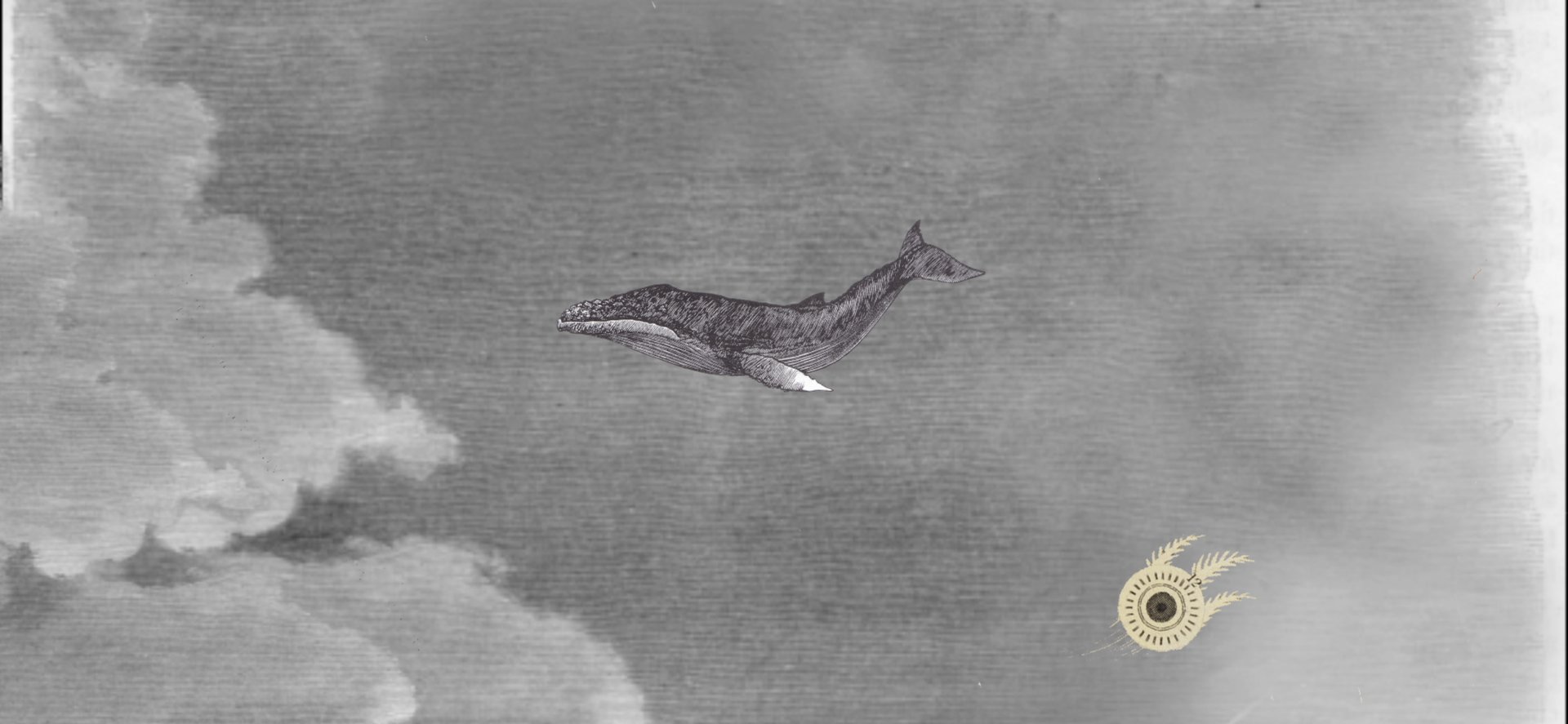 Film Still "WWW {the whale who wasn't}"