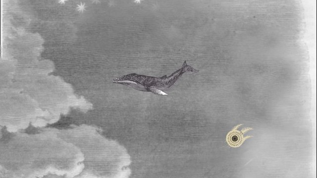 Film Still "WWW {the whale who wasn't}"